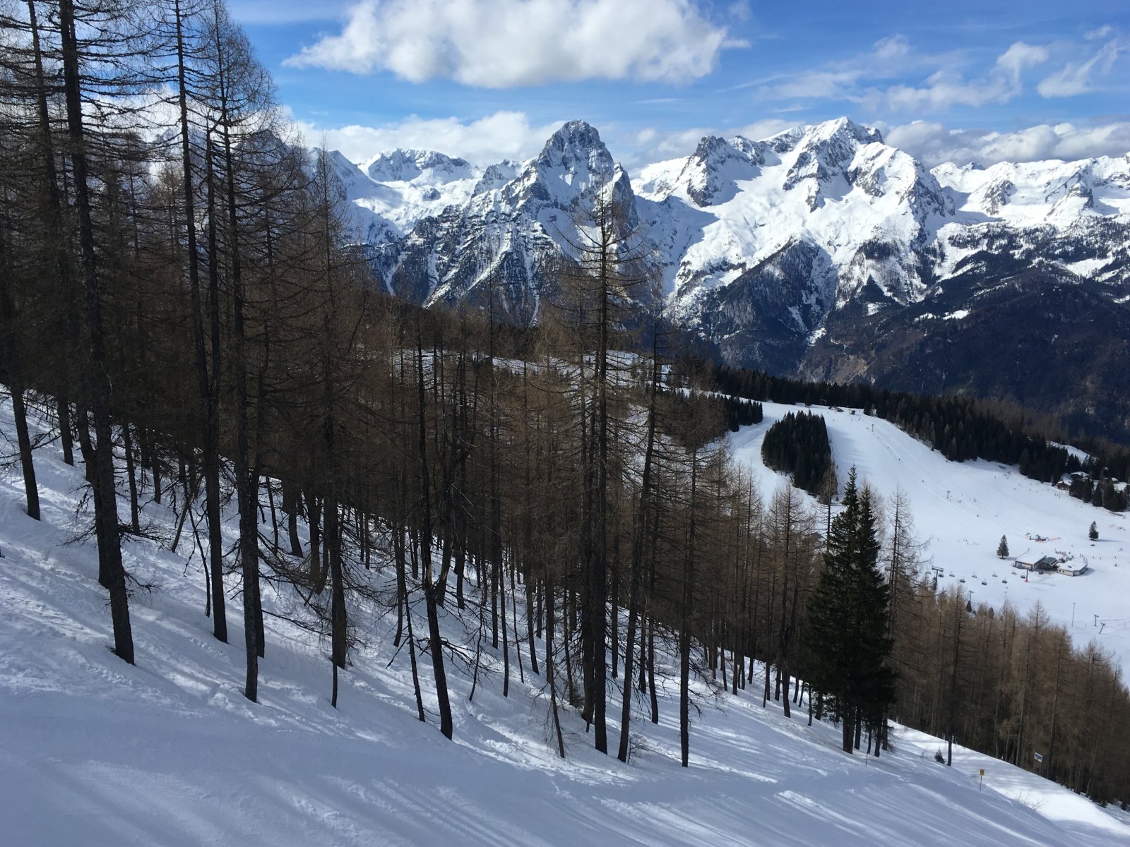 IMG-9465.JPG