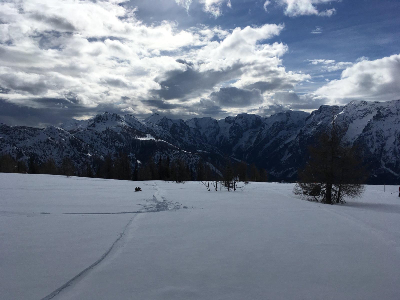 IMG-9475.JPG