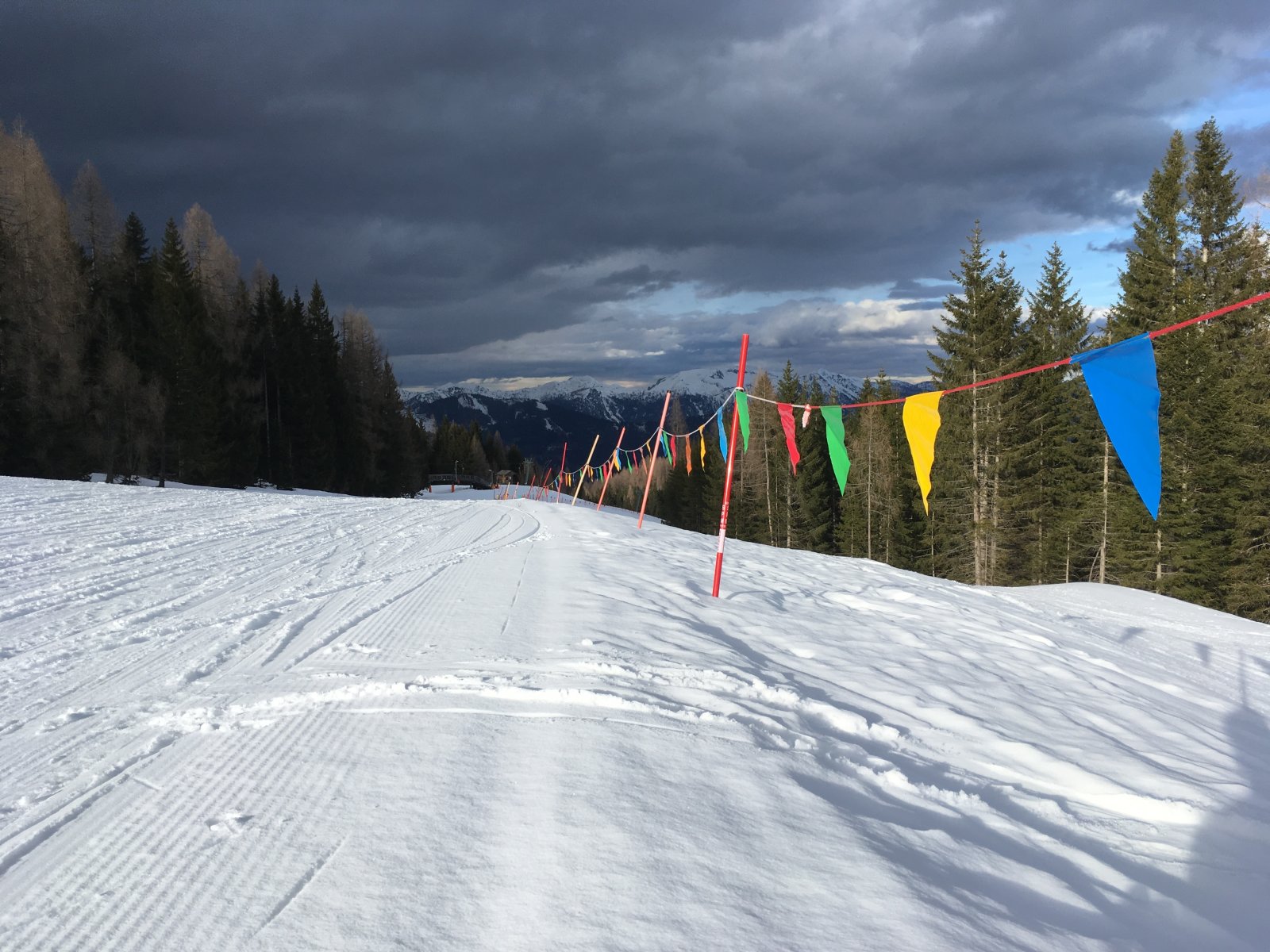 IMG-9515.JPG
