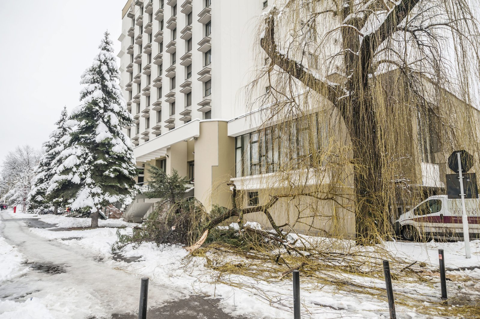 A hó súlyától letört faágak Csíkszeredában 2016. március 24-én. MTI Fotó: Veres Nándor