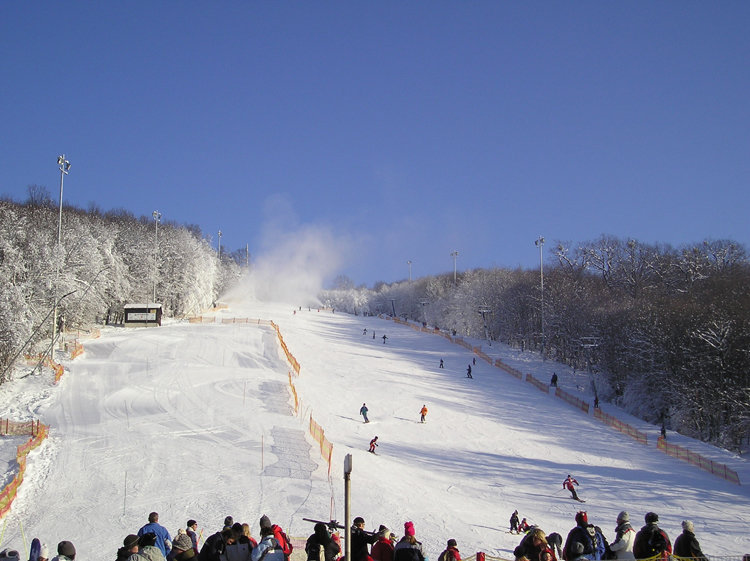 A síterep fénykorában