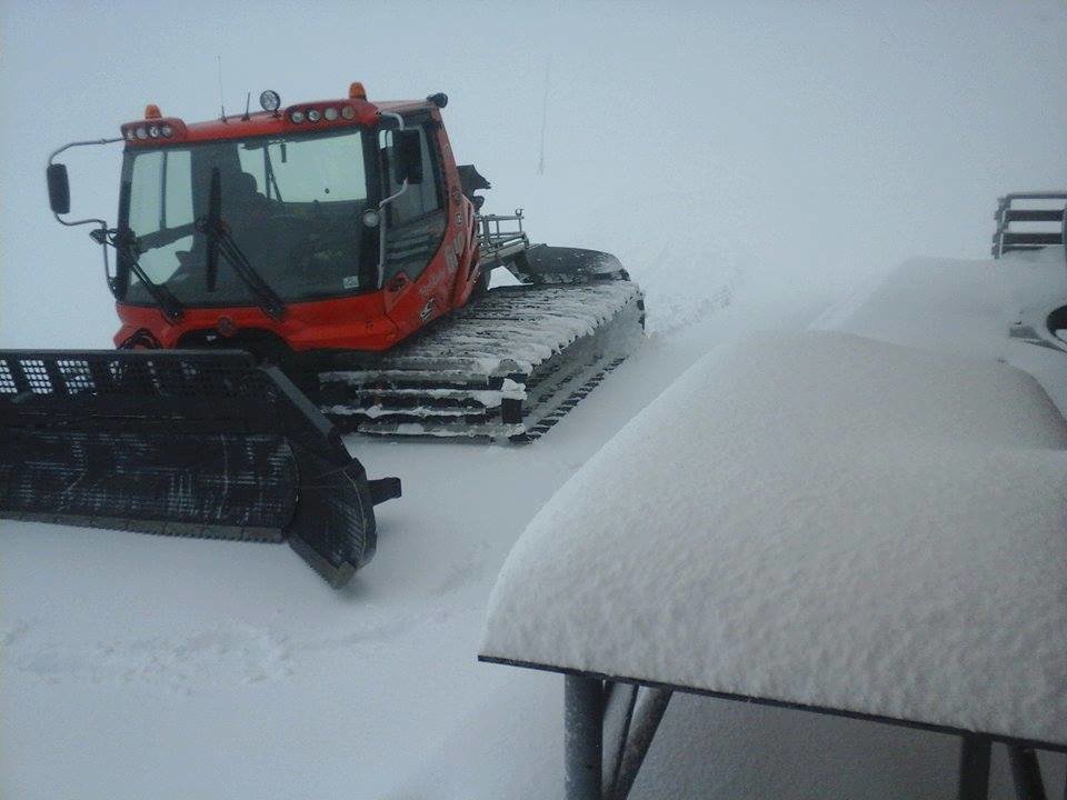 Kép: Isola 2000 / Facebook