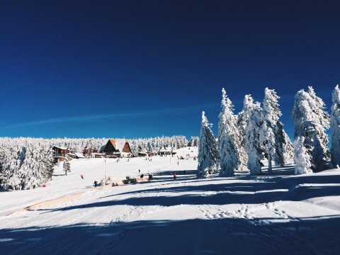 Kép: Madarasi Hargita