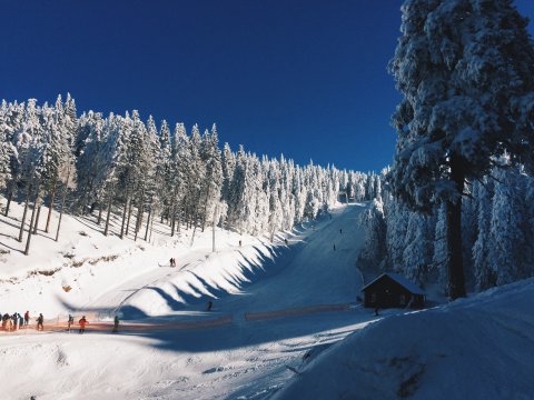 Kép: Madarasi Hargita