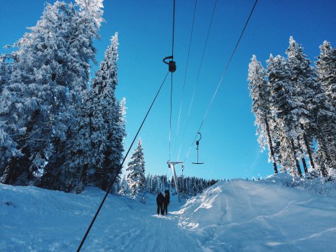 Kép: Madarasi Hargita