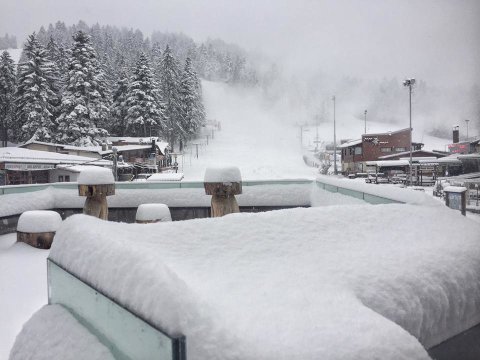 Borovec havazás után