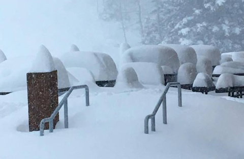 Brighton Resort / Facebook