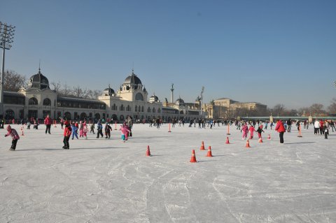 A Városligeti Műjégpálya