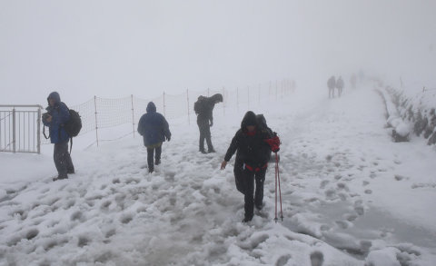 A lengyel oldal is havas