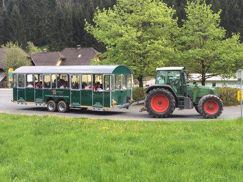 Kép: Magyar Labdarúgó Szövetség