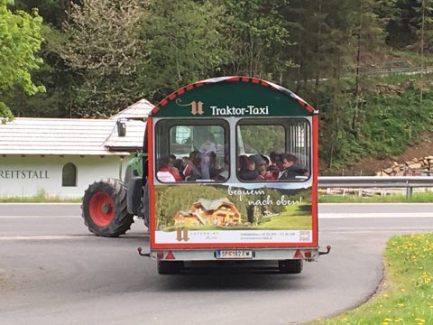 Kép: Magyar Labdarúgó Szövetség