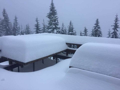 Kép: Statiunea Parang / Facebook