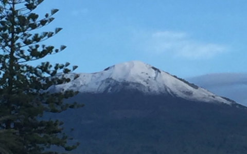 @carmine_virno / Twitter