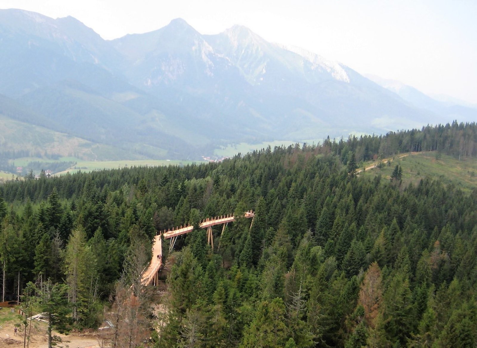 Tanösvény 24 méter magasan a föld felett, a fakoronák között.