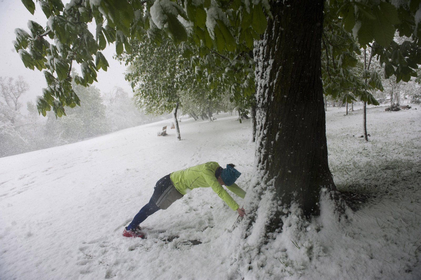 Bemelegít egy futó Budapesten, a behavazott Normafánál 2017. április 19-én. MTI Fotó: Demecs Zsolt