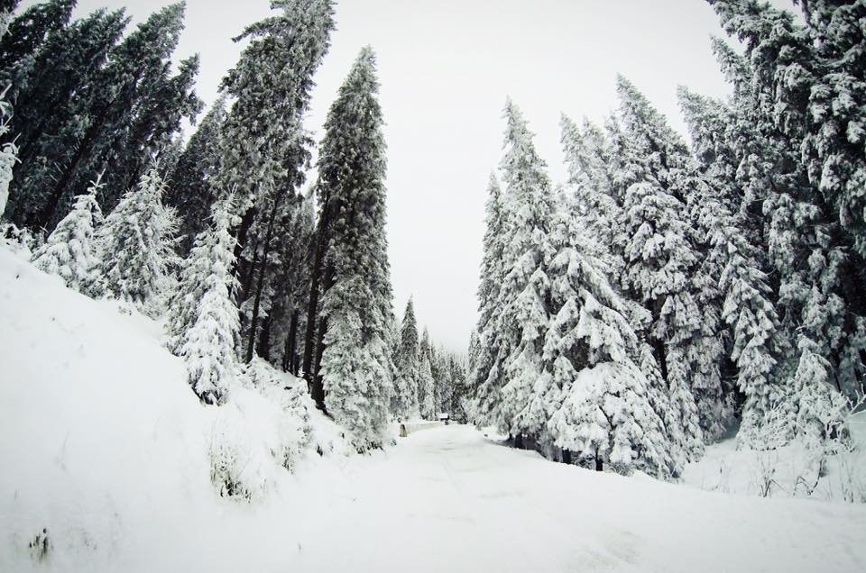 Már lehet síelni a Madarasi Hargitán (Kép: Madarasi Hargita / Lukácsi Lehel / Facebook)