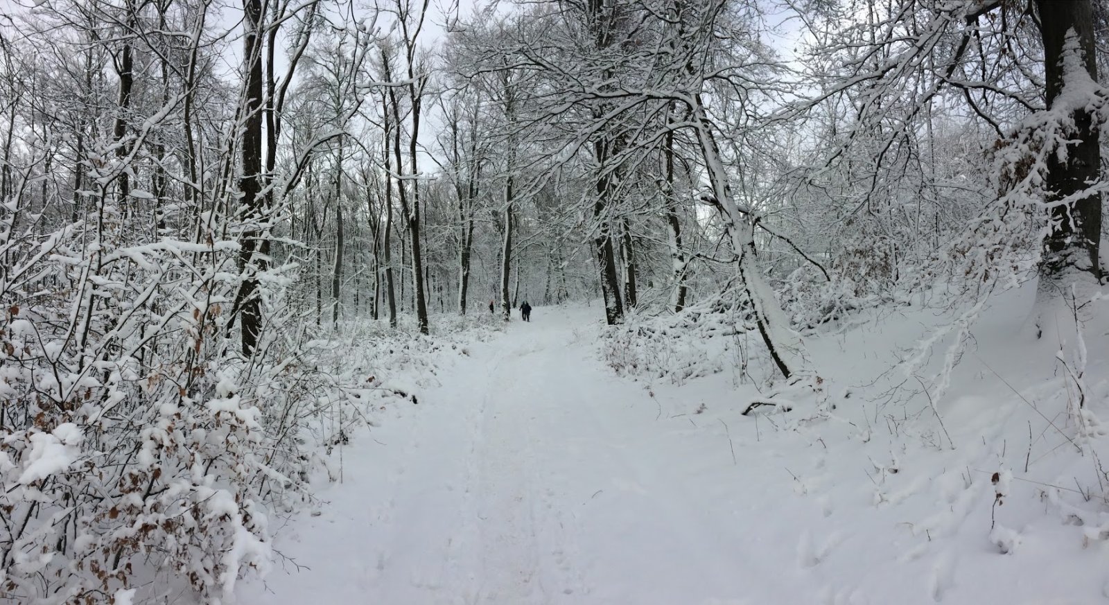 Mai kép a Pilisből