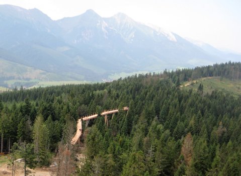 Tanösvény 24 méter magasan a föld felett, a fakoronák között.