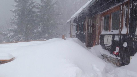 Edelweisshütte 1235m, Puchberg Am Schneeberg, Alsó-Ausztria