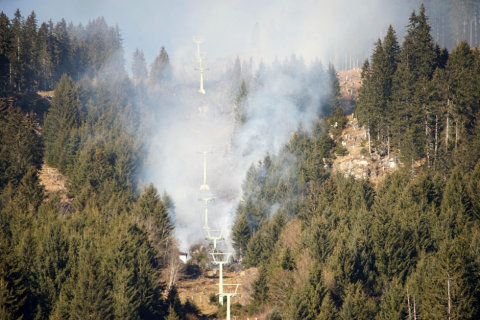 Ég ez erdő a sílift alatt (Kép: ZOOM.Tirol)