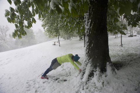 Bemelegít egy futó Budapesten, a behavazott Normafánál 2017. április 19-én. MTI Fotó: Demecs Zsolt