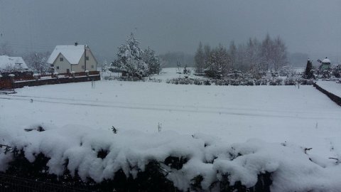 Valahol Litvániában