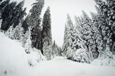 Már lehet síelni a Madarasi Hargitán (Kép: Madarasi Hargita / Lukácsi Lehel / Facebook)