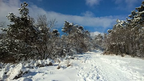 Mai kép a Budai-hegységből