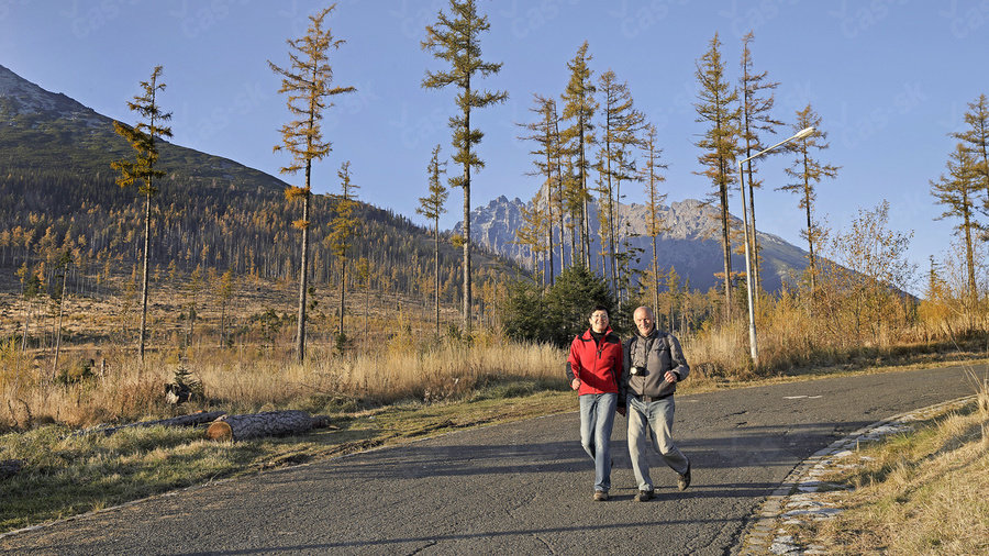 Itt régen sűrű fenyves volt (Kép: Nový čas)