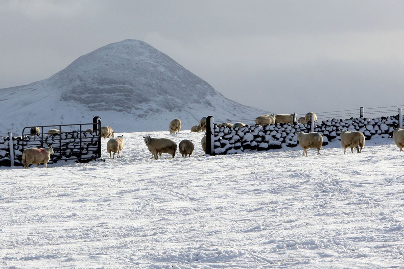 Slemish, Észak-Írország (Kép: www.mirror.co.uk)