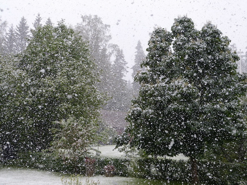 Havazás Észtországban (Kép: http://rahvahaal.delfi.ee)