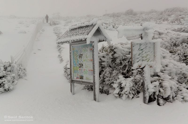 La Palma szigete (Kép: photography by Saul Santos / Facebook)