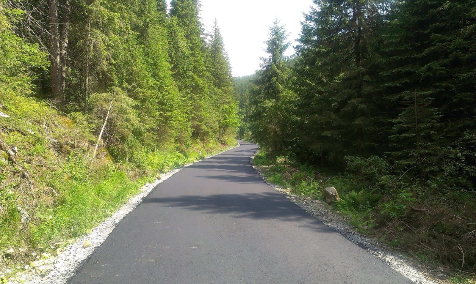 Kép: Madarasi Hargita Síközpont