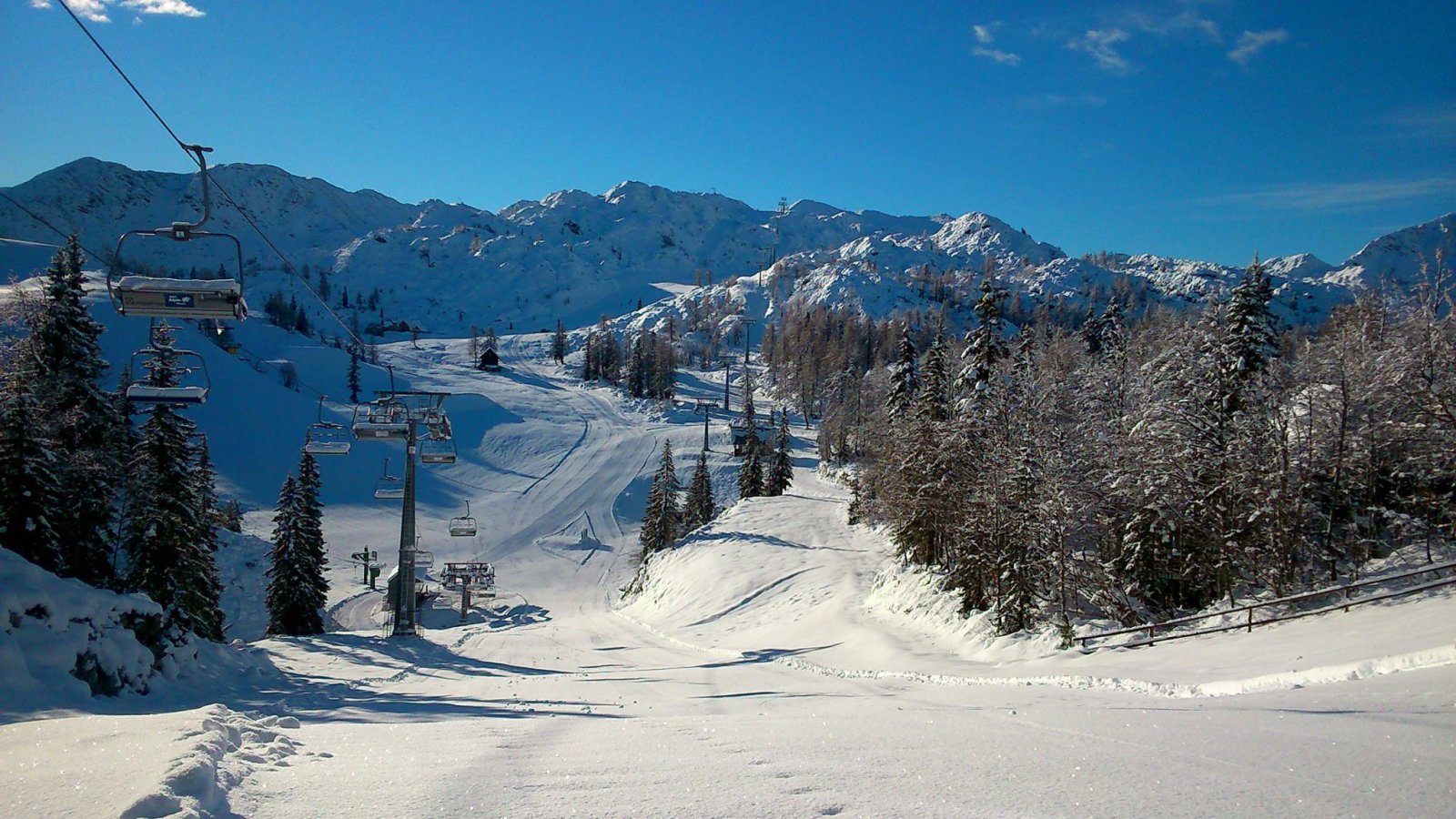 Vogel, így nézett ki szerdán