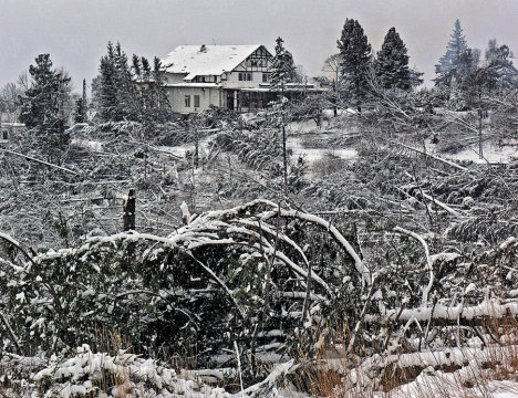 A pusztítás napján (Kép: Nový čas)
