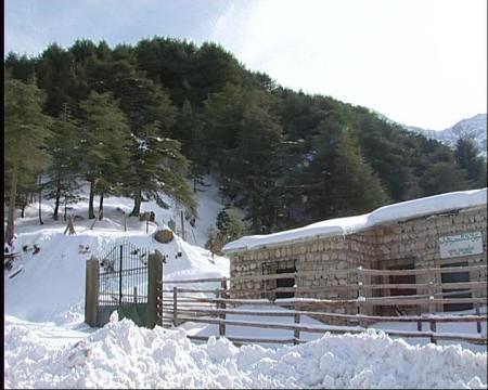 Úgy néz ki, van ott hó (Kép: http://www.startimes.com)