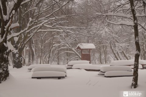Tuli Lajos (időkép.hu) fotója a Cuha-szurdokból (Bakony)