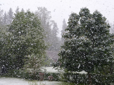 Havazás Észtországban (Kép: http://rahvahaal.delfi.ee)