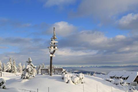 Ide tartottak (Kép: Feuerberg Mountain Resort)