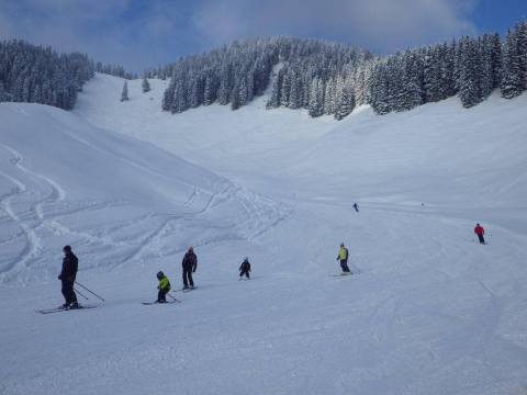 Friss hó esett a napokban
