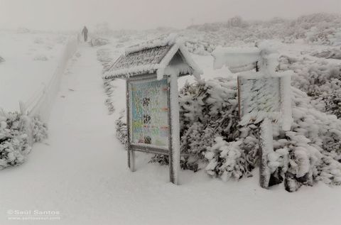 La Palma szigete (Kép: photography by Saul Santos / Facebook)