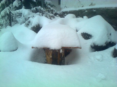 Nagy Hideg-hegy környéke (Kép: Kirschner Gyula / Facebook)