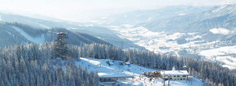 A síterep (Kép: http://www.panhans.at)