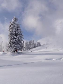Zell am See is készül