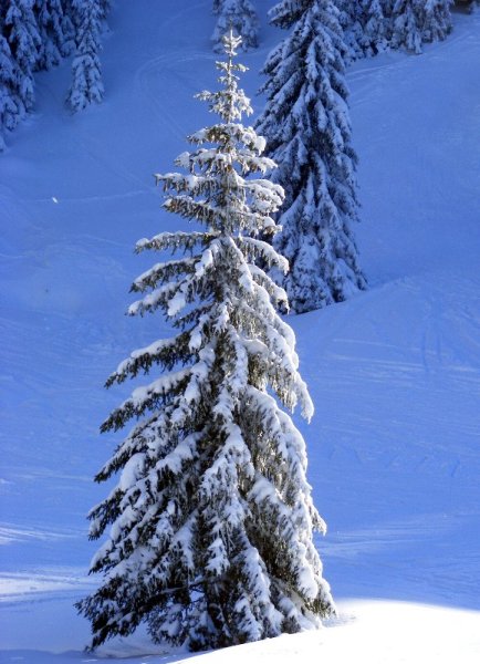 Magányosan, védtelenűl