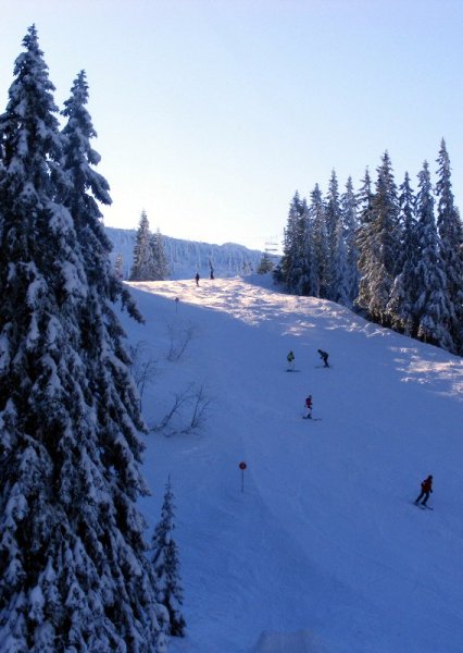 Sykora pálya teteje a felvonóról