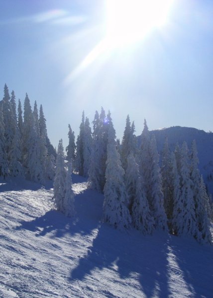 Mint egy hadsereg katonái az ellenfényben