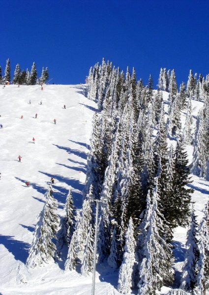 Leckerplan piros pályája