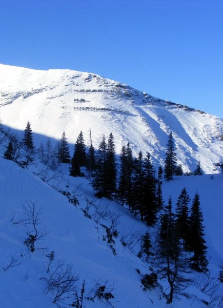 Lavinakerítések a Hochkar oldalában