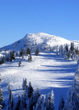 Balra a "Blachlboden" piros pálya nyomvonala